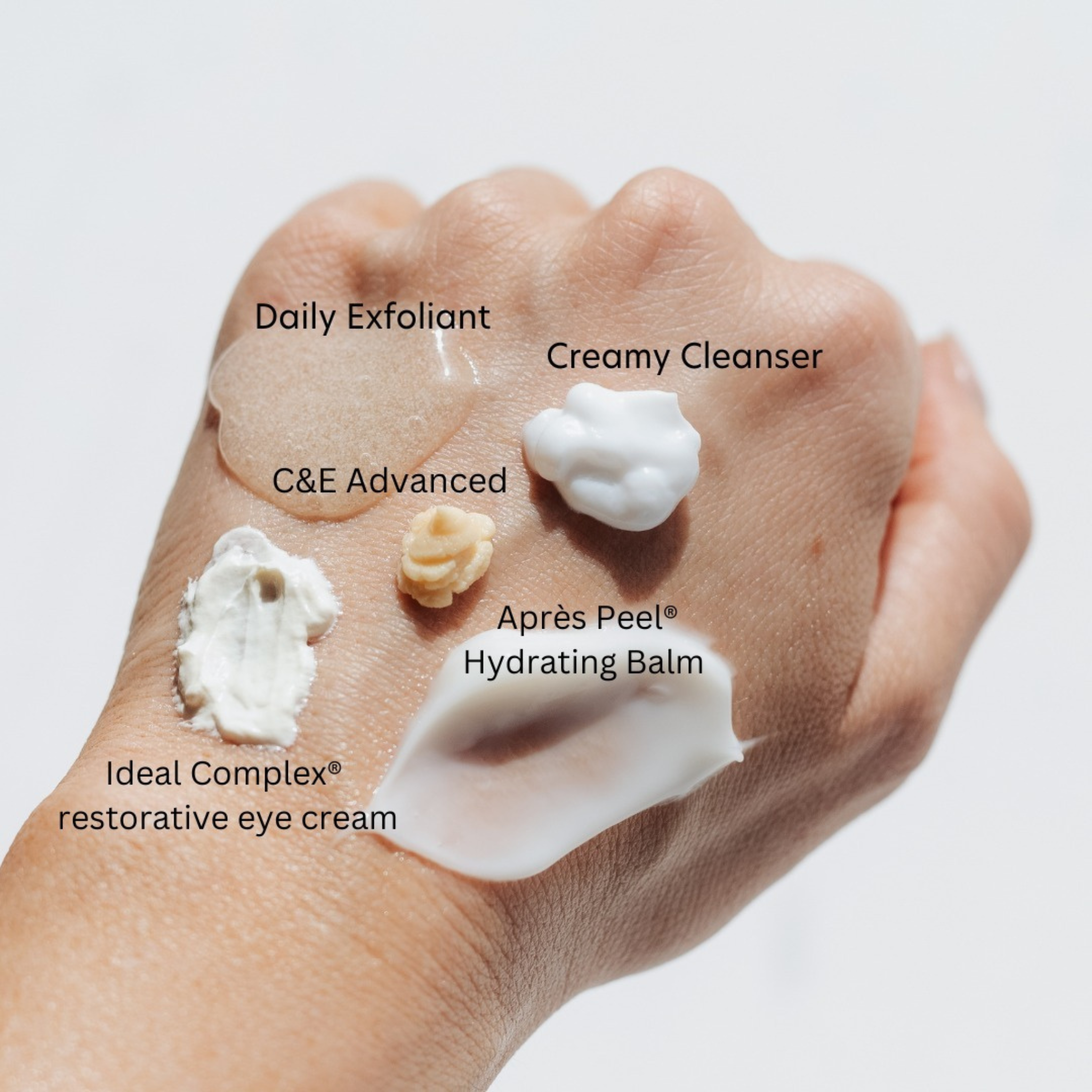 Creamy Cleanser