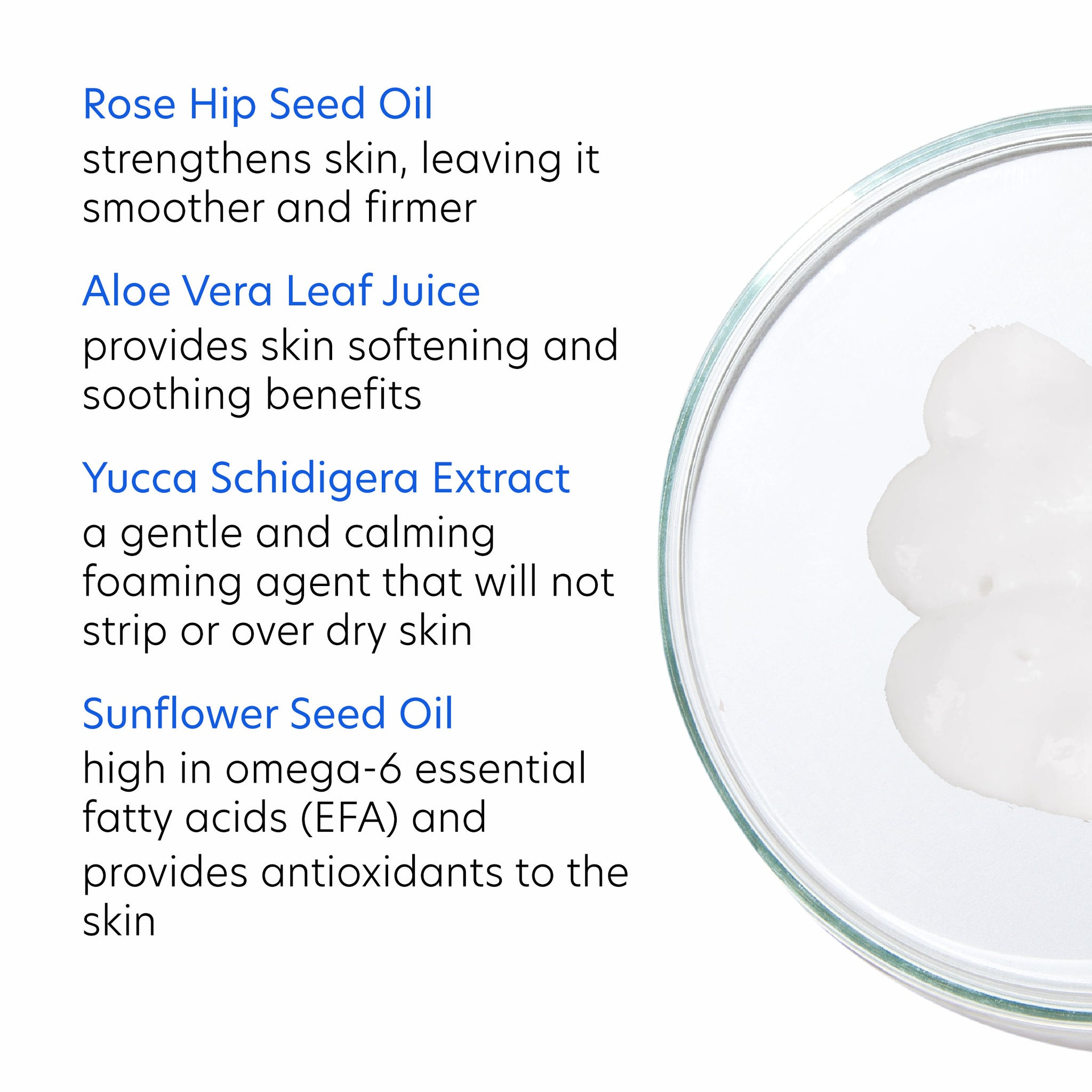 Creamy Cleanser
